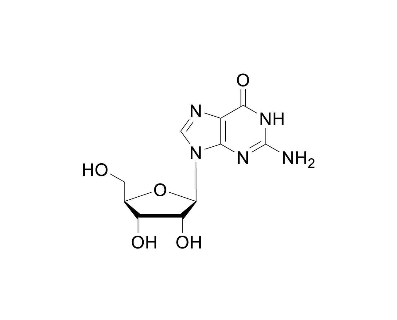 Structure of guanosine