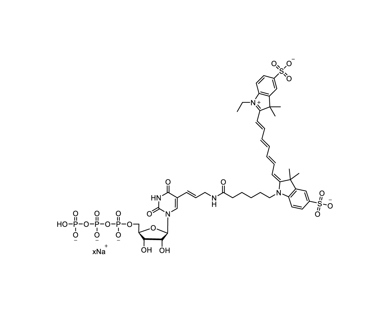 Cy7-AA-UTP structure shown with variable sodium counterions