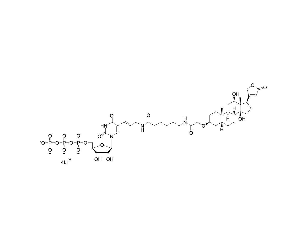 Structure of Digoxigenin-11-UTP tetralithium salt