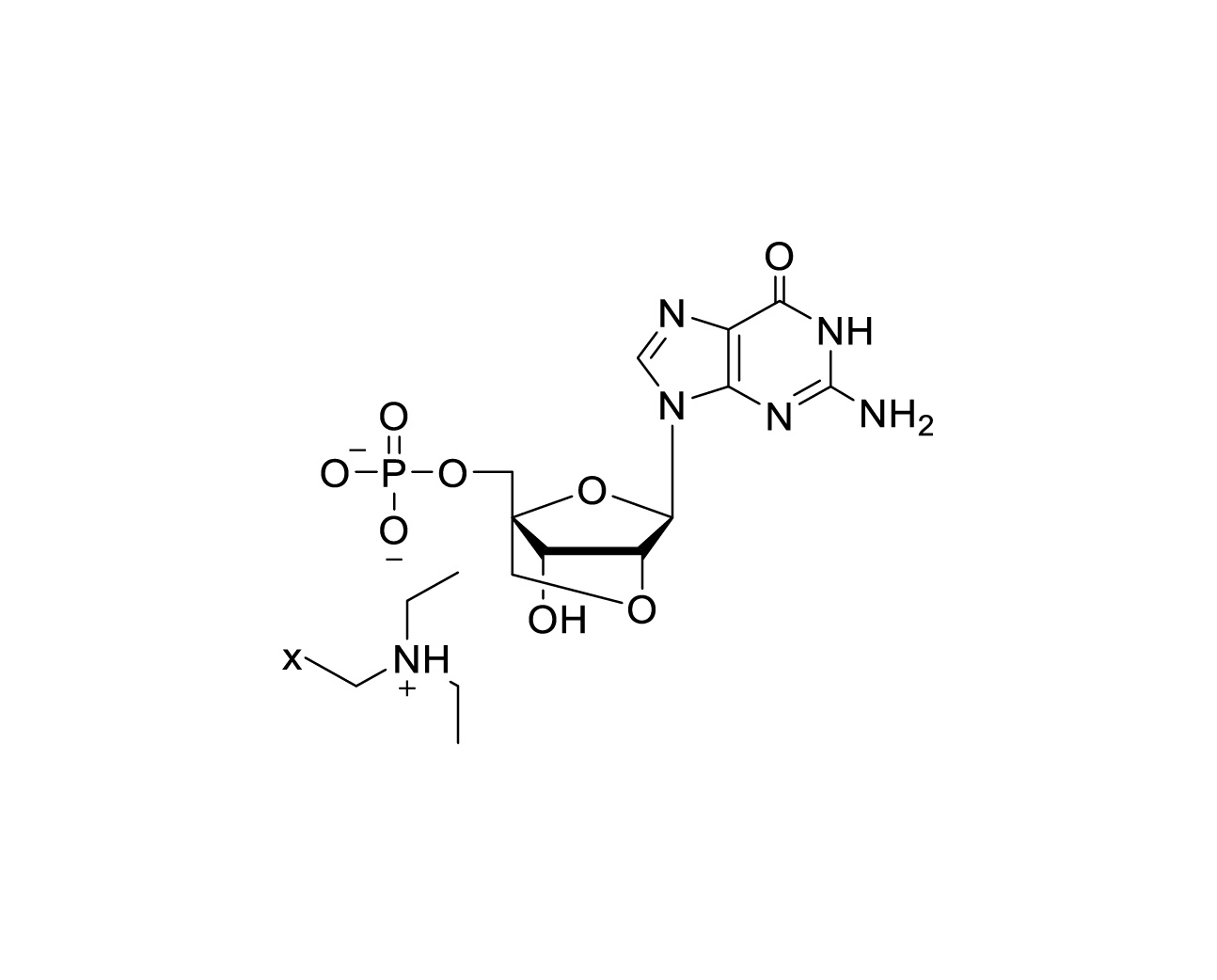 Structure of 2'-O-4'-C-locked GMP triethylammonium salt