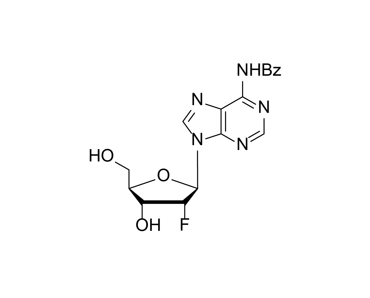 Structure of N6-benzoyl-2'-fluoro-2'-deoxyadenosine