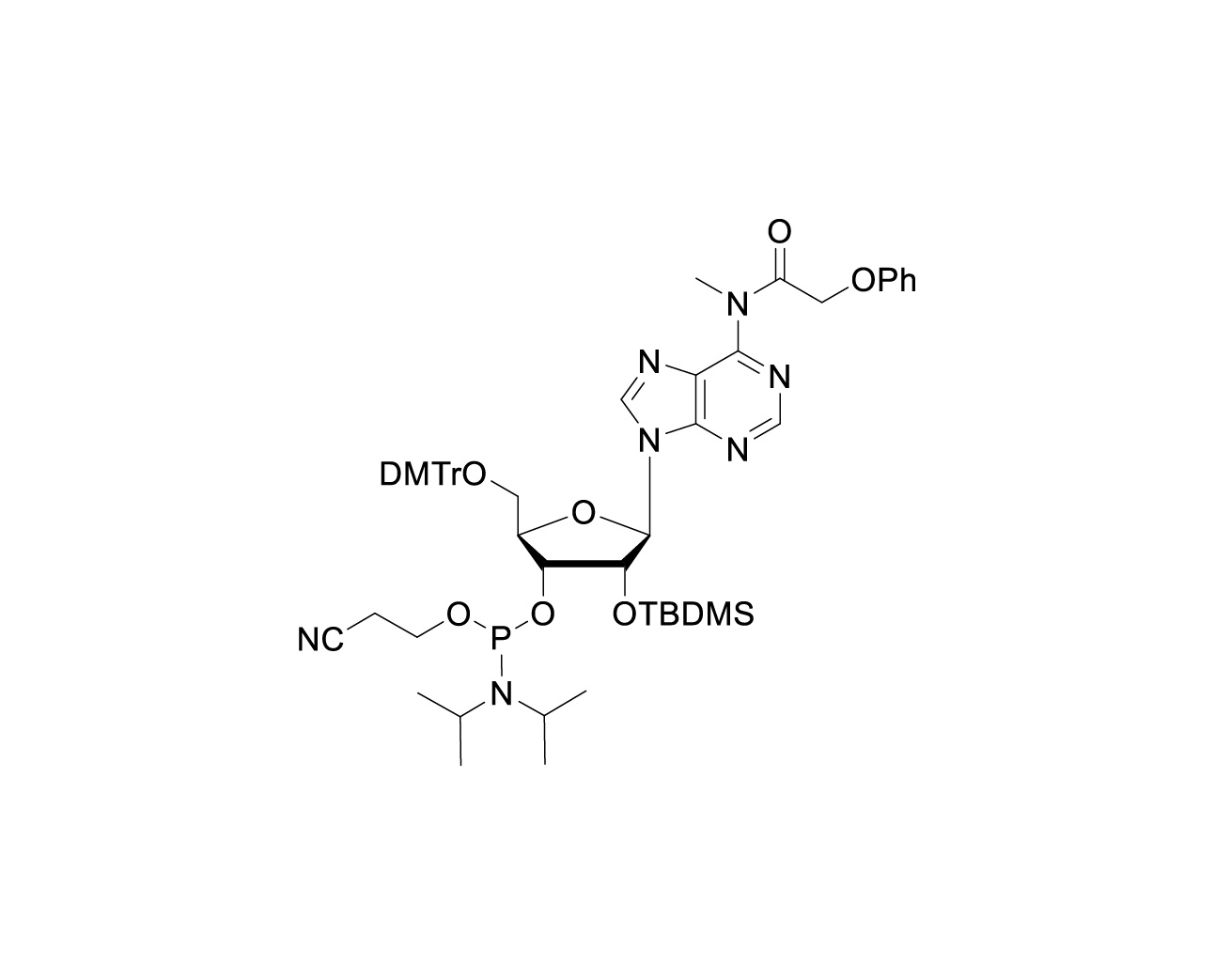 Chemical structure of protected N6-methyladenosine RNA phosphoramidite