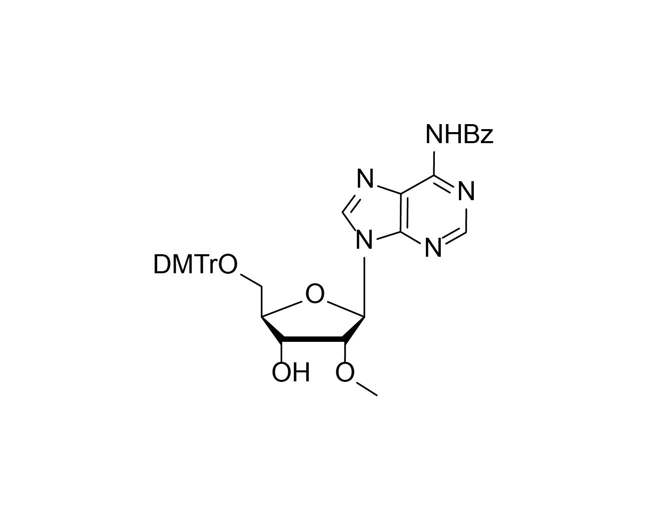 Structure of N6-benzoyl-5'-O-DMTr-2'-O-methyladenosine