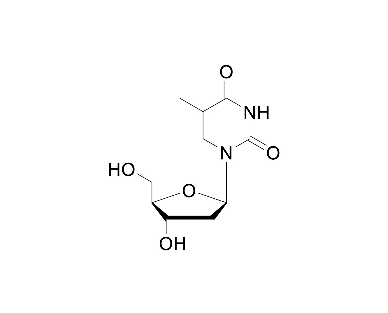 Structure of thymidine