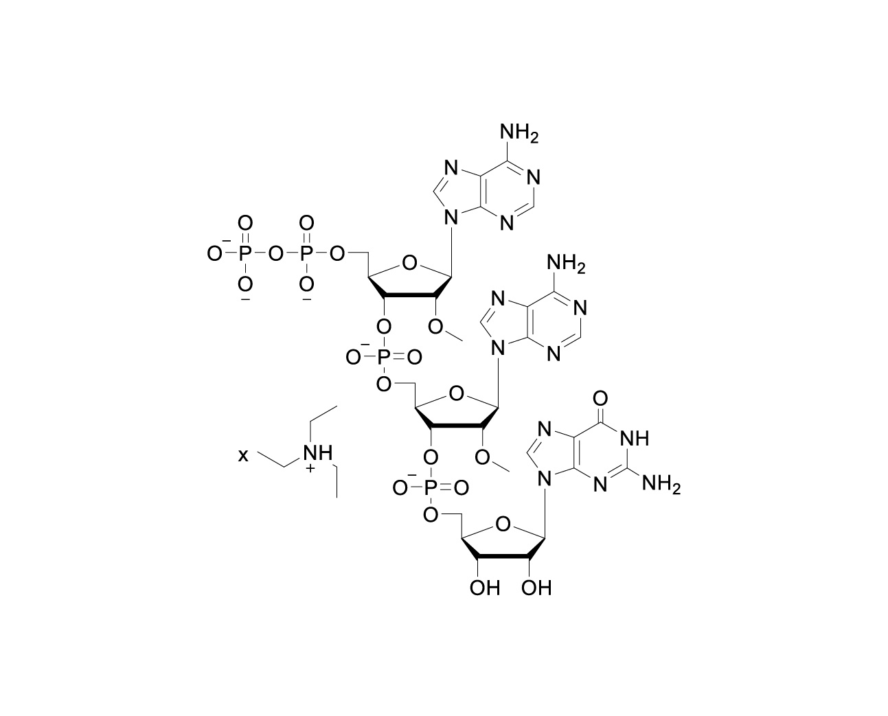 Structure of 5'-pp(2'-O-Me-A)p(2'-O-Me-A)pG TEA salt