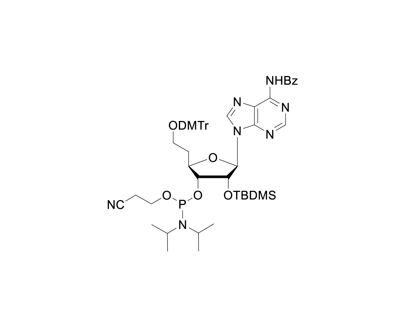Chemical structure of protected homo-adenosine phosphoramidite