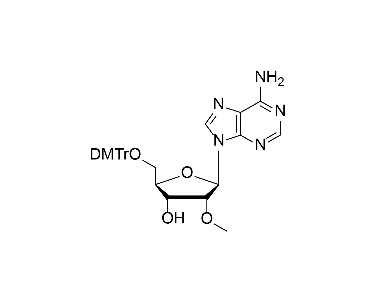 Structure of 5'-O-DMTr-2'-O-methyladenosine