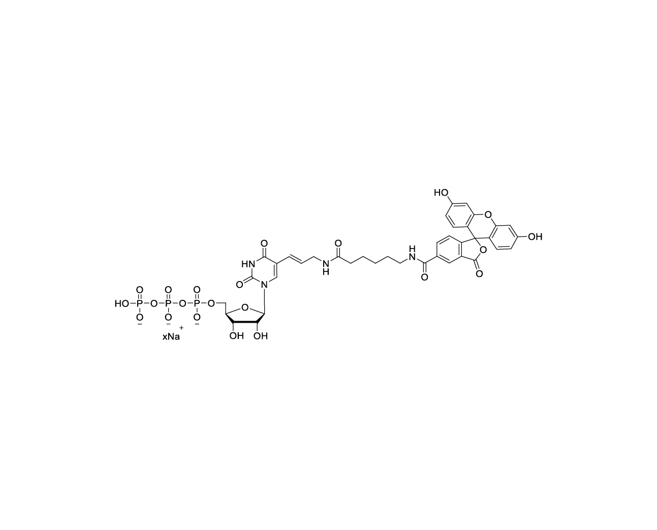 Structure of Fluorescein-12-UTP sodium salt