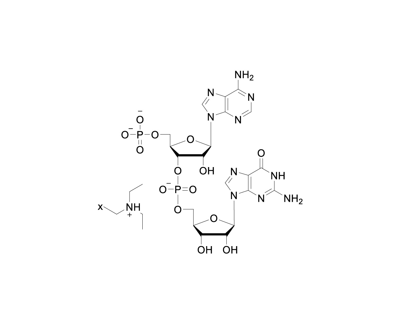 Structure of pApG TEA salt with variable triethylamine stoichiometry