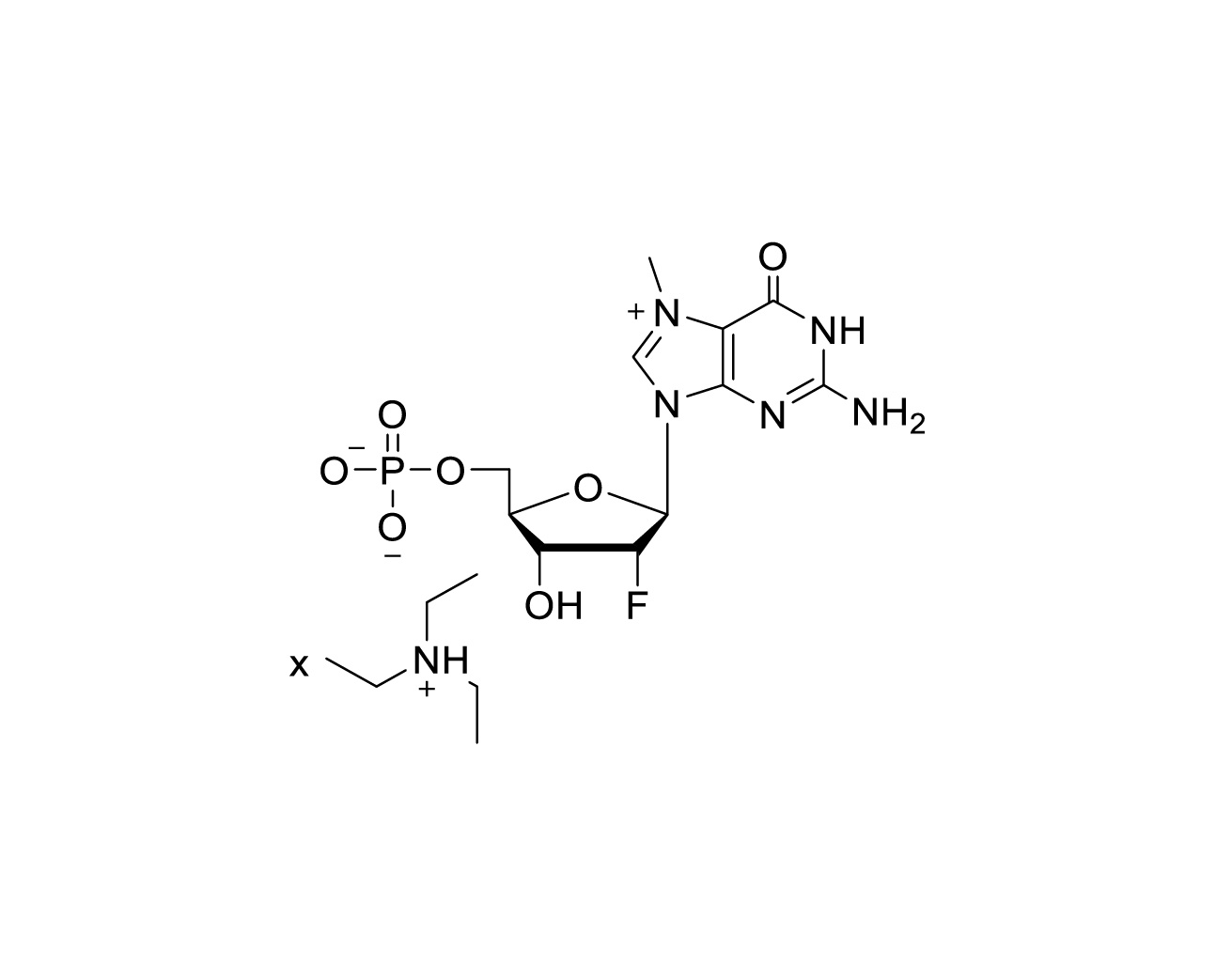 Structure of 2'-F-m7GMP triethylammonium salt