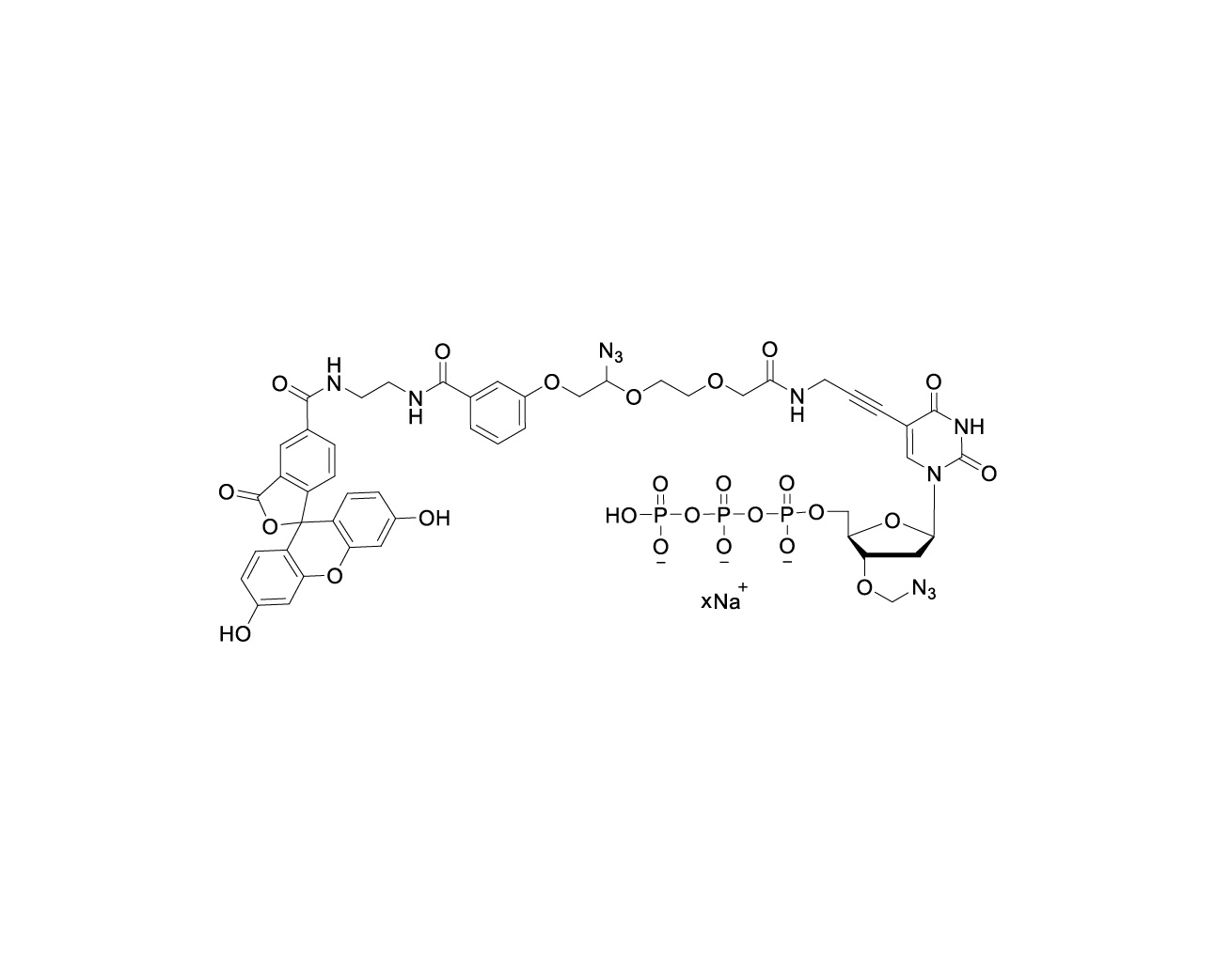 Chemical structure of FAM-linker-PA-3'-O-azidomethyl-dUTP sodium salt with unspecified sodium stoichiometry