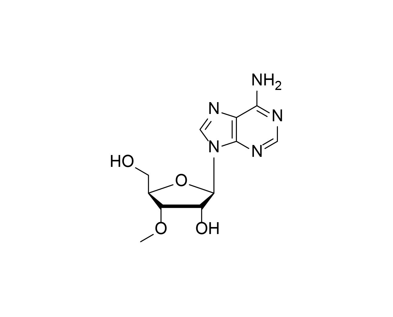 Chemical structure of 3'-O-Methyladenosine