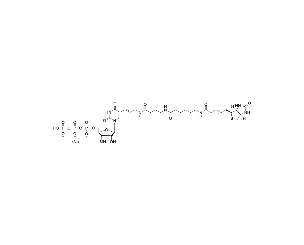 Structure of Biotin-16-AA-UTP sodium salt
