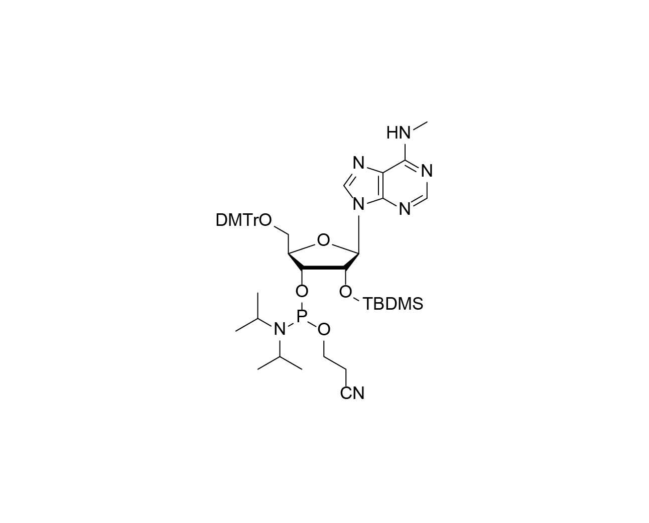 Chemical structure of DMTr-2'-O-TBDMS-N6-Me-rA-3'-CE-Phosphoramidite
