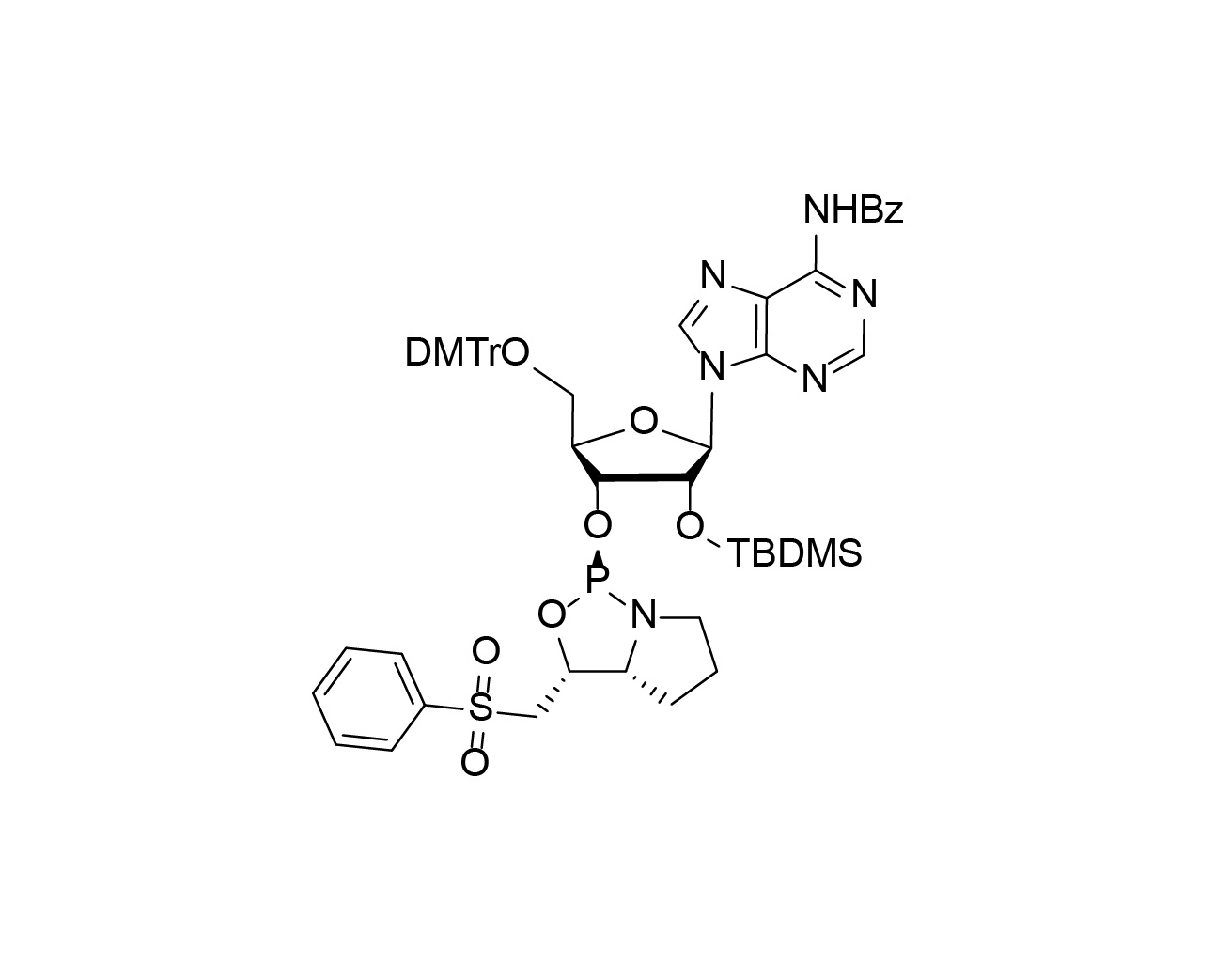 Chemical structure of D-PSM protected adenosine RNA phosphoramidite
