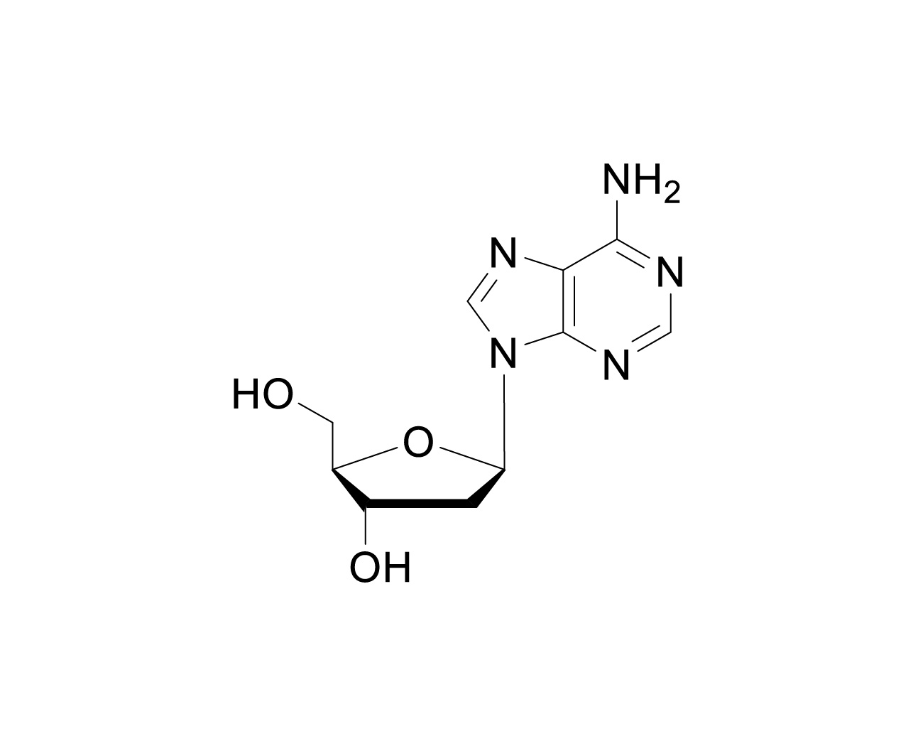 Structure of 2'-deoxyadenosine