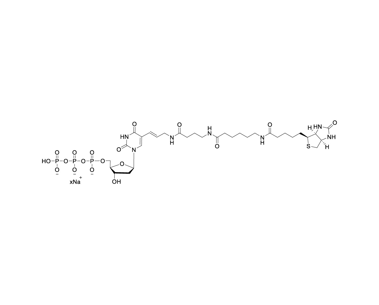 Chemical structure of Biotin-16-dUTP sodium salt with unspecified sodium stoichiometry
