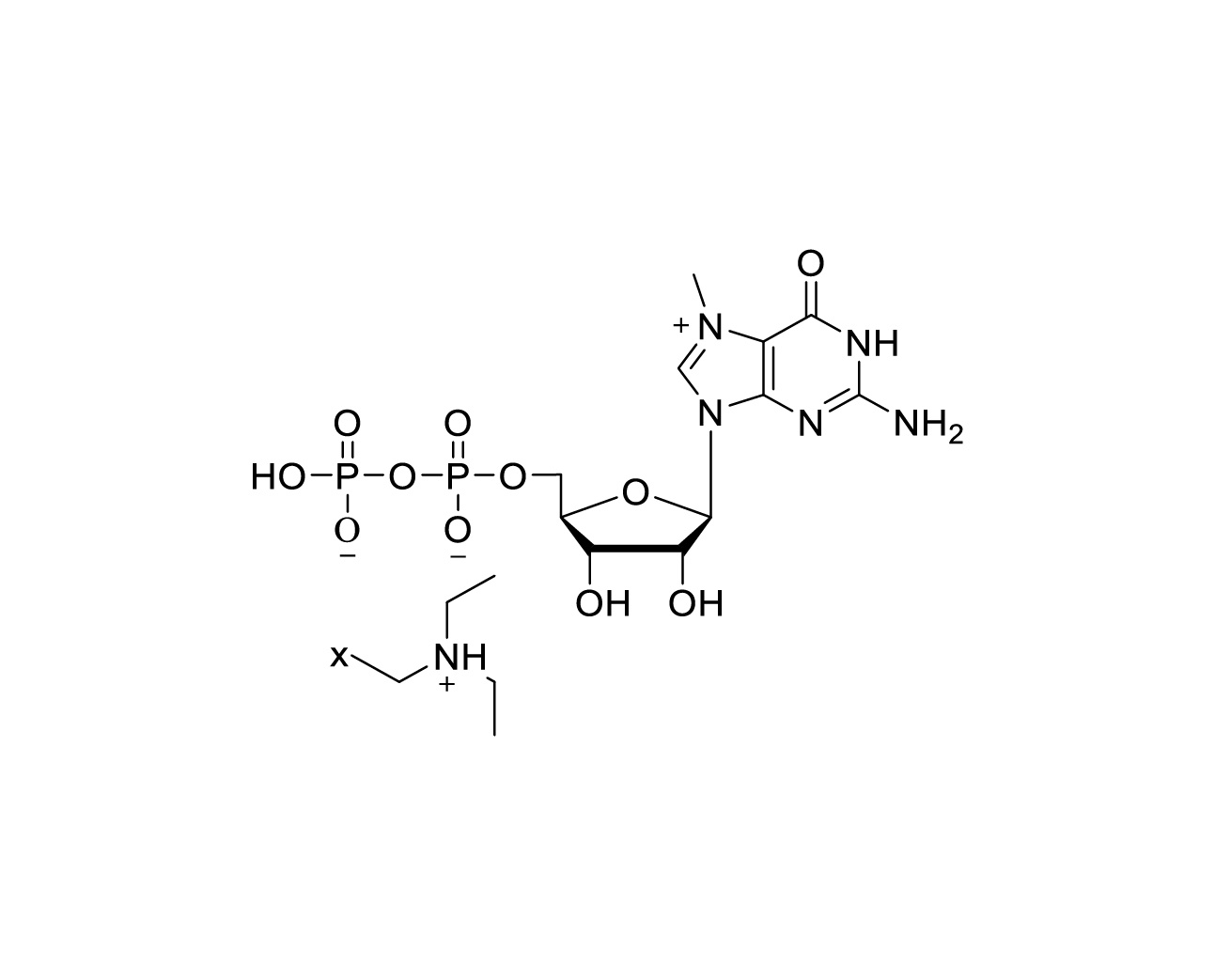 Structure of m7GDP TEA salt with variable triethylamine stoichiometry
