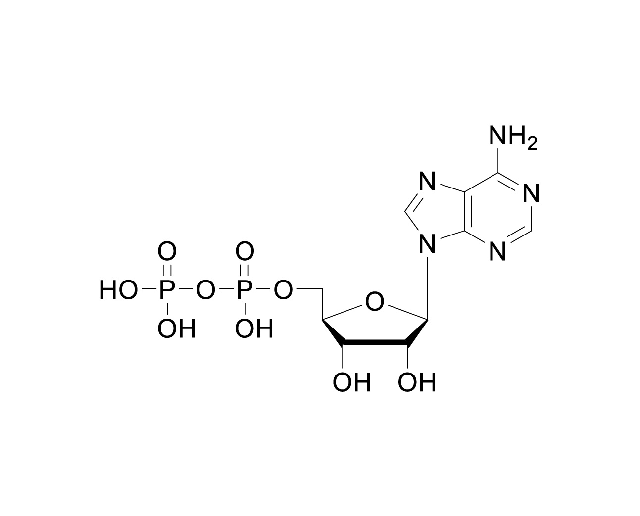 Chemical structure of Adenosine 5'-Diphosphate