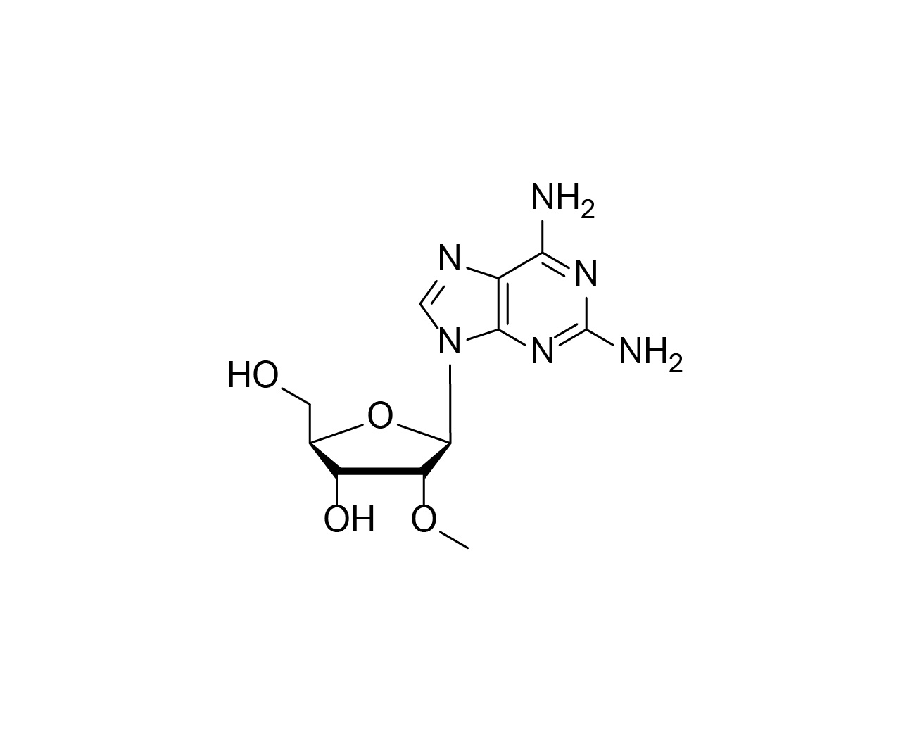 Chemical structure of 2-amino-2'-O-methyladenosine