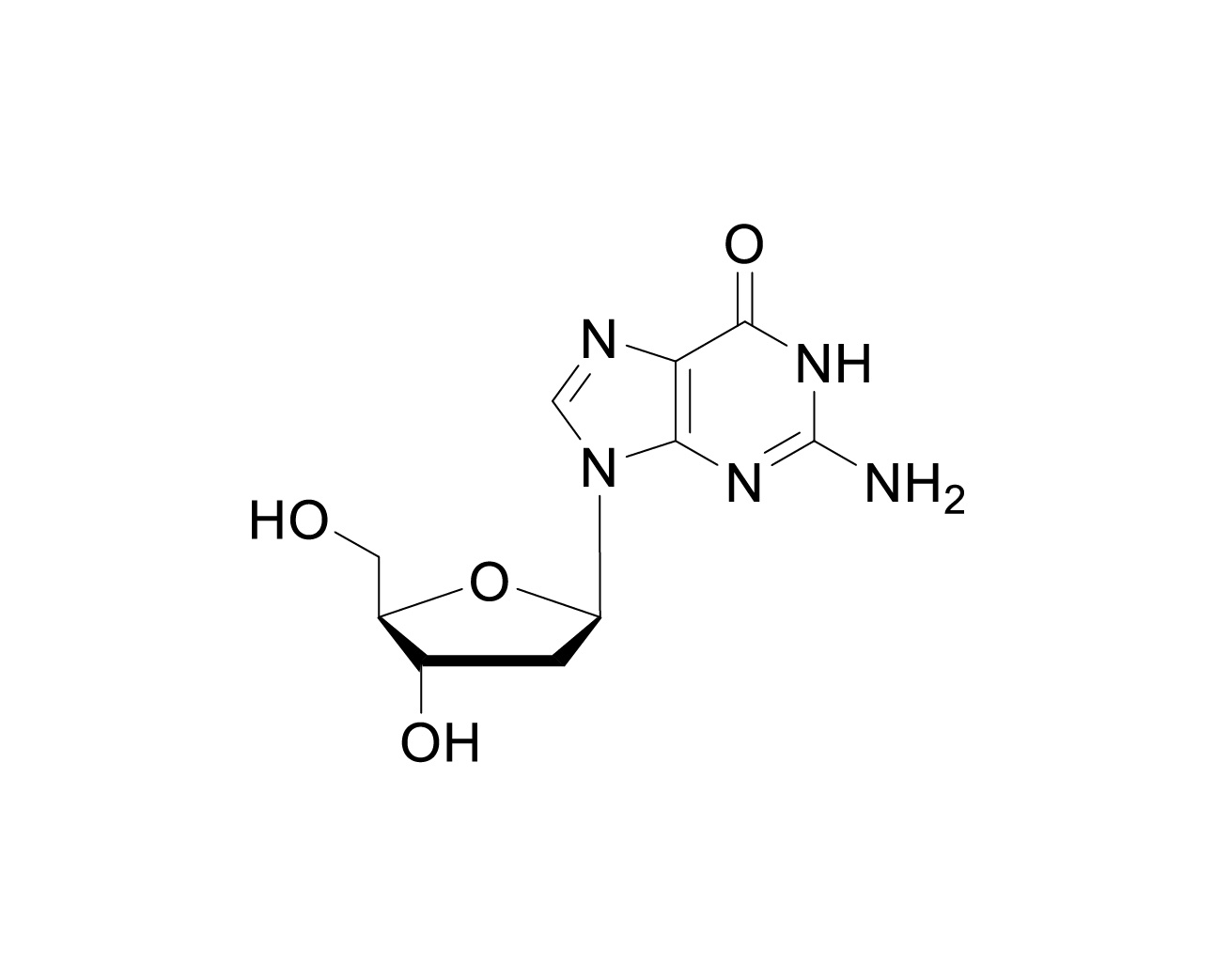 Structure of 2'-deoxyguanosine