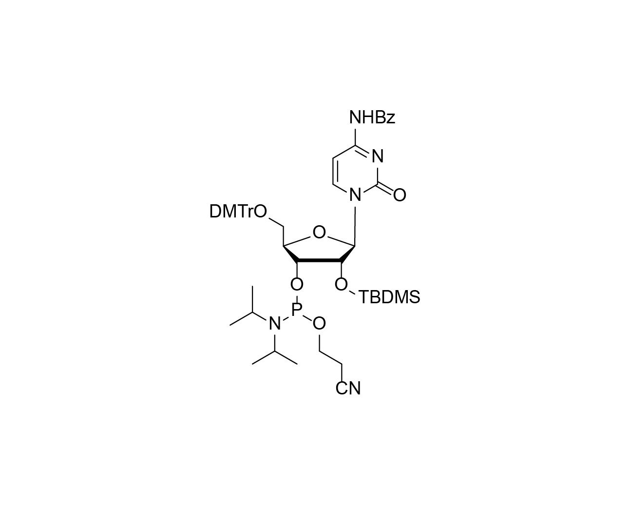 Chemical structure of DMTr-2'-O-TBDMS-rC(Bz)-3'-CE-Phosphoramidite