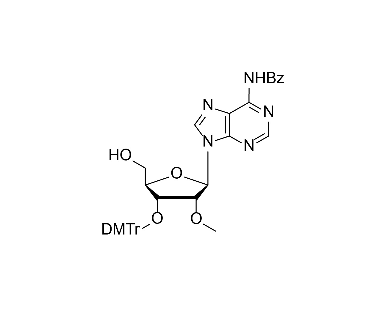Structure of N6-benzoyl-3'-O-DMTr-2'-O-methyladenosine