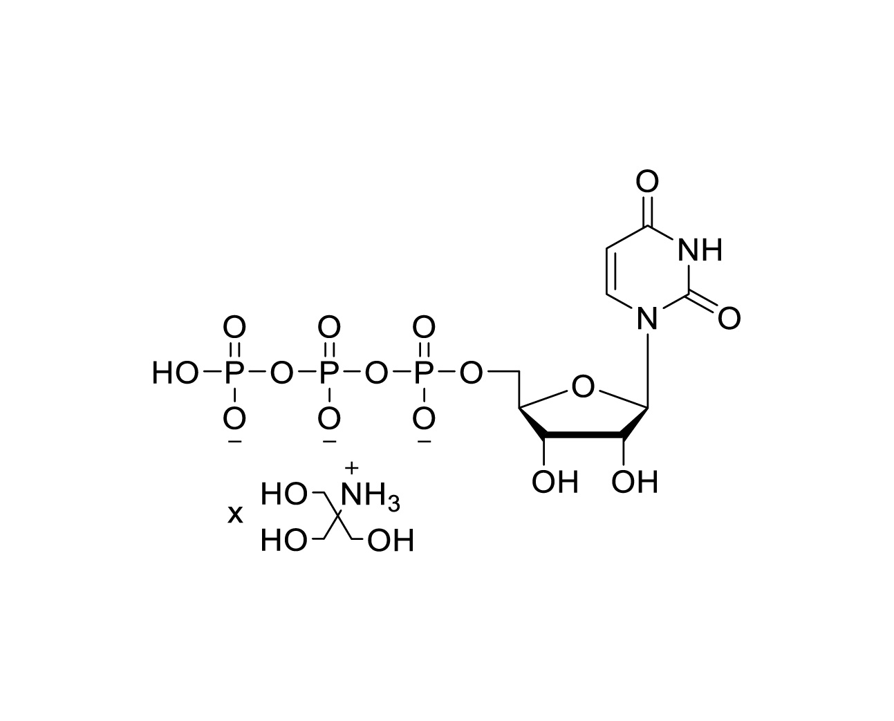 Structure of uridine 5'-triphosphate Tris salt with variable Tris stoichiometry