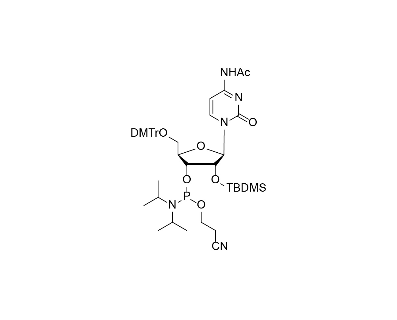 Constitutional structure of DMTr-2'-O-TBDMS-rC(Ac)-3'-CE-Phosphoramidite