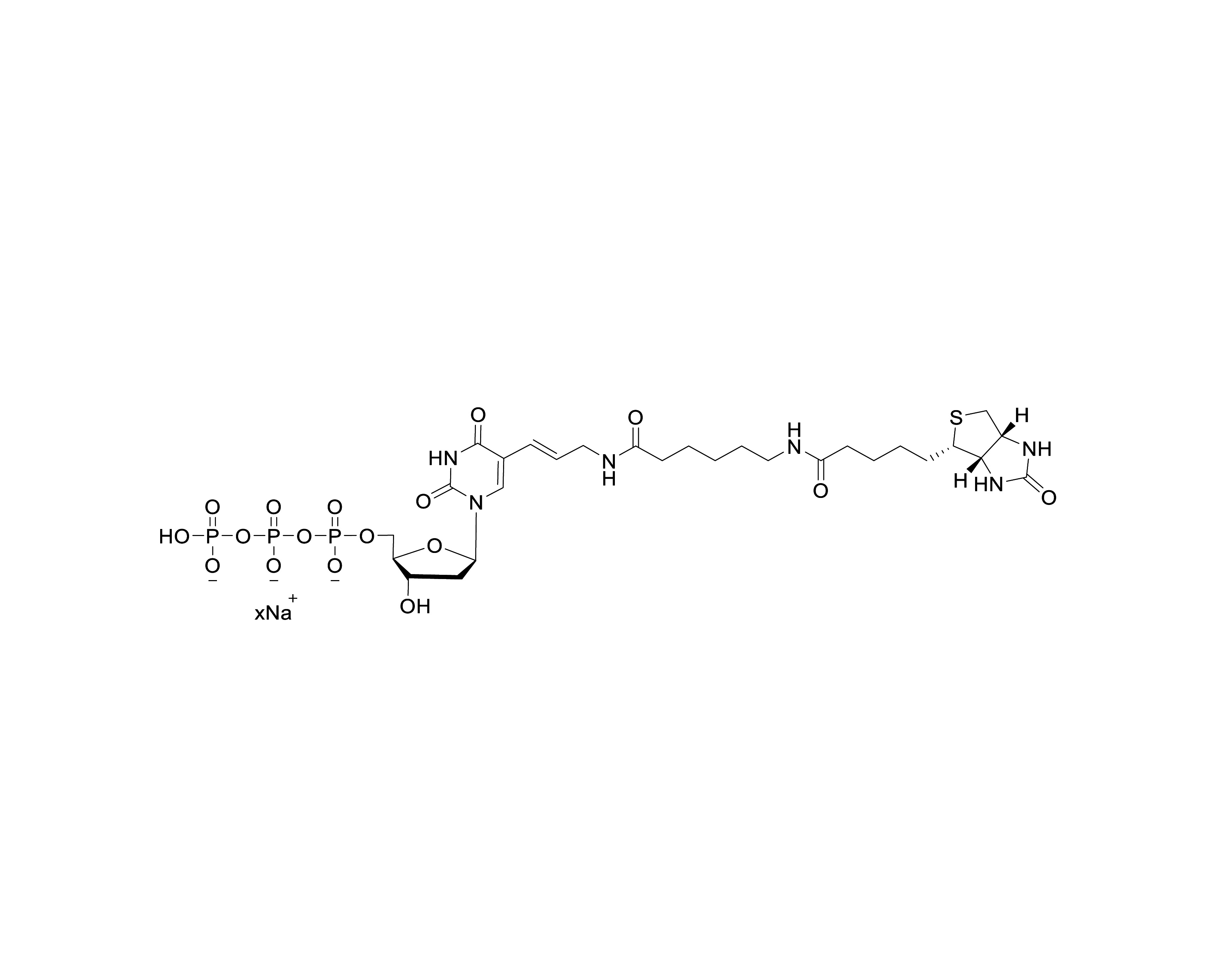 Chemical structure of Biotin-11-dUTP sodium salt with unspecified sodium stoichiometry