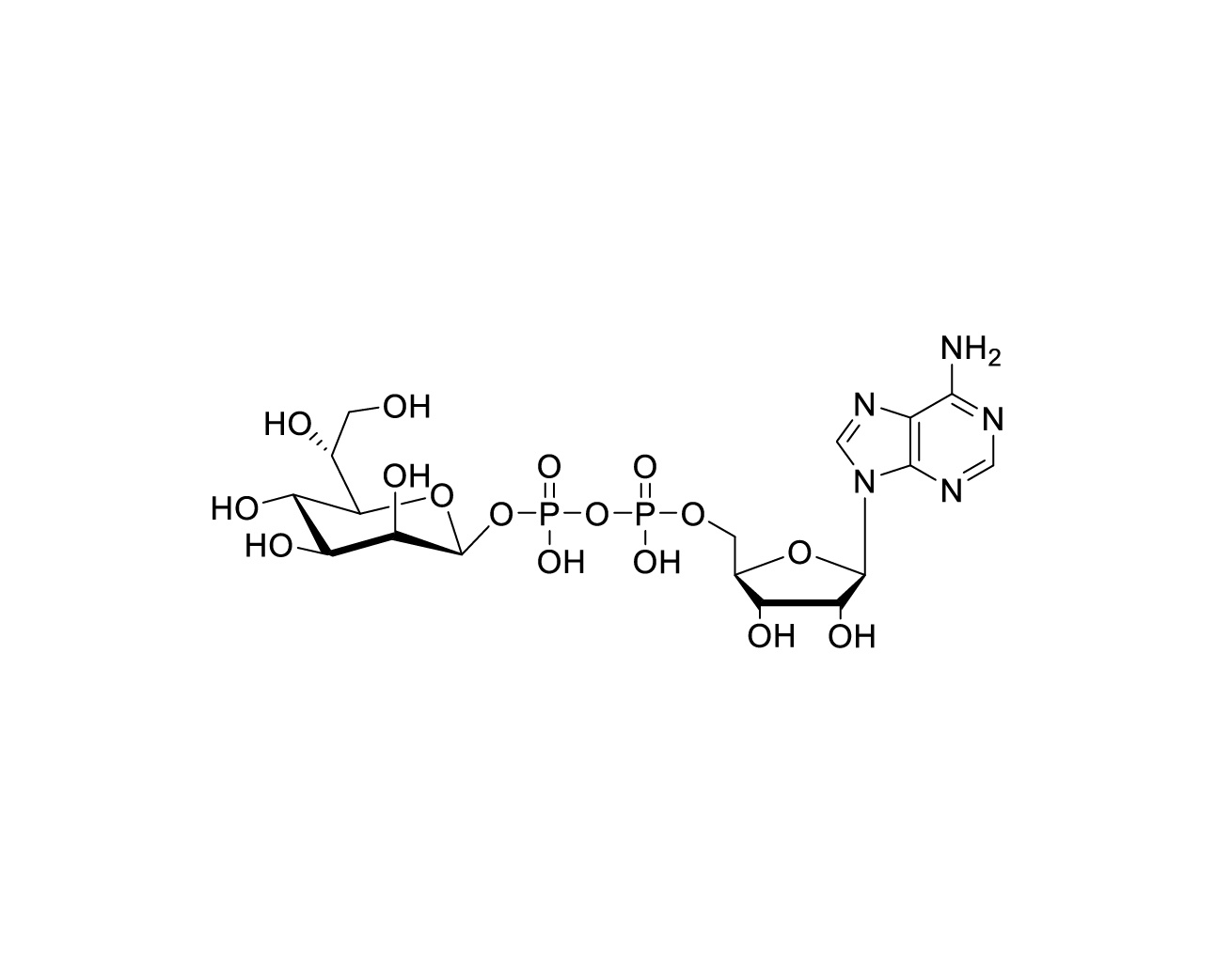 Structure of ADP-L-glycero-beta-D-manno-heptose
