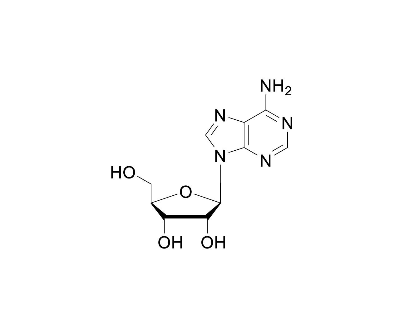 Structure of adenosine