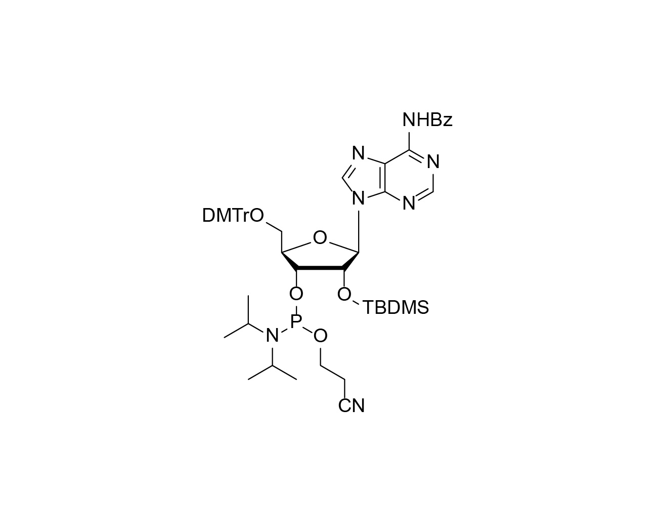 Chemical structure of DMTr-2'-O-TBDMS-rA(Bz)-3'-CE-Phosphoramidite
