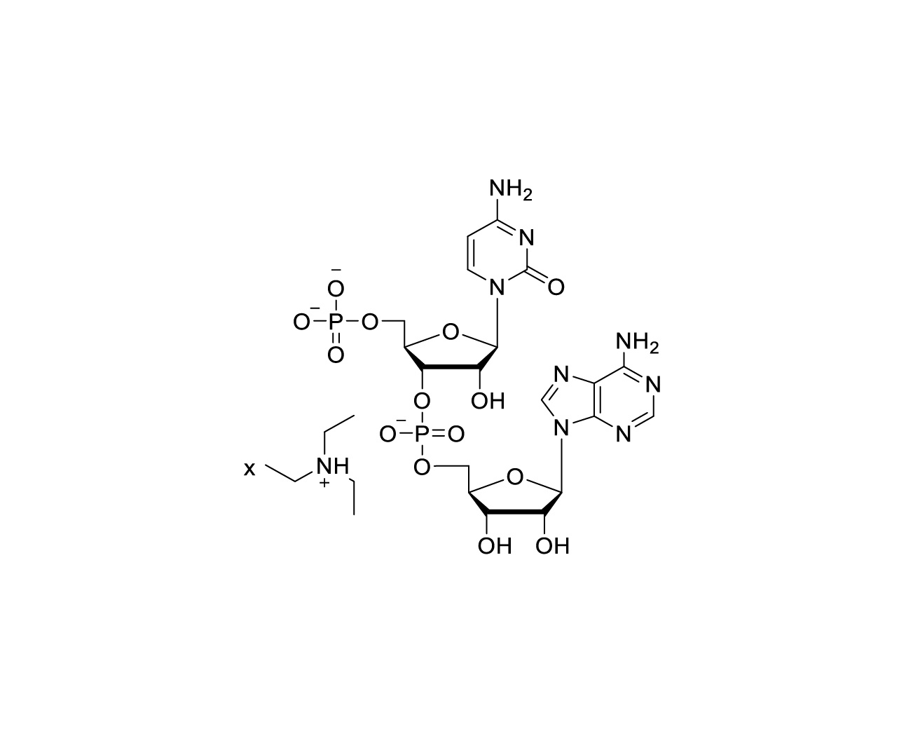 Structure of pCpA TEA salt with variable triethylamine stoichiometry