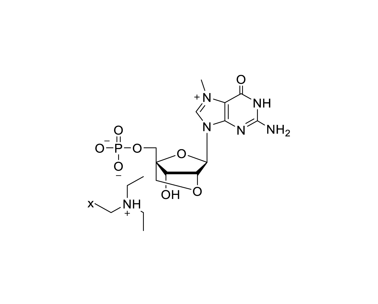 Structure of 2'-O-4'-C-locked m7GMP triethylammonium salt