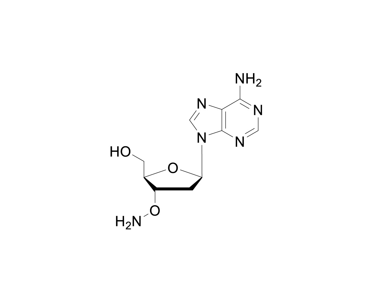 Structure of 3'-O-amino-2'-deoxyadenosine